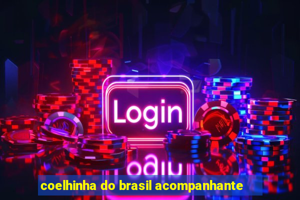 coelhinha do brasil acompanhante